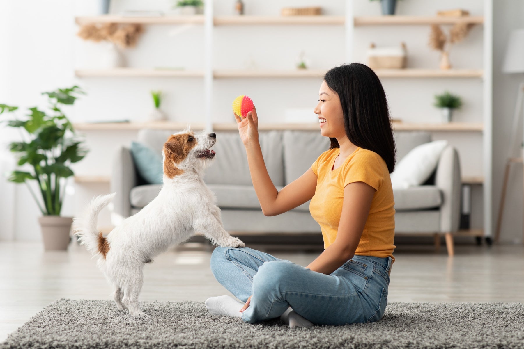 Giocattoli interattivi per cani