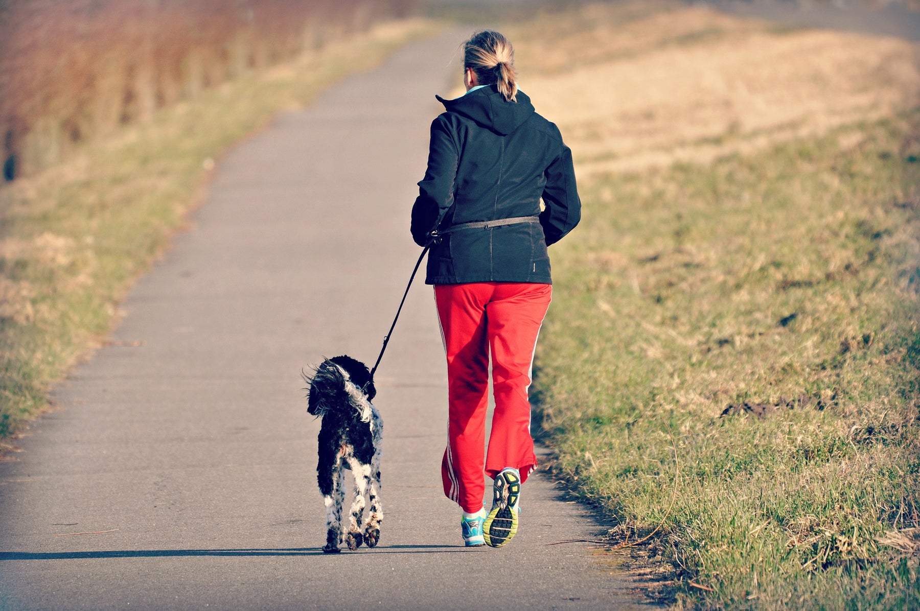 Jogging con il nostro amato fido