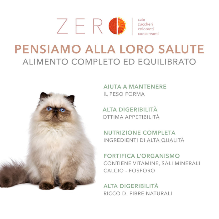 Tasty Pet Confezione di Alimento Completo Umido per Gatti - 5001 Pate' Premium Pollo e Carote